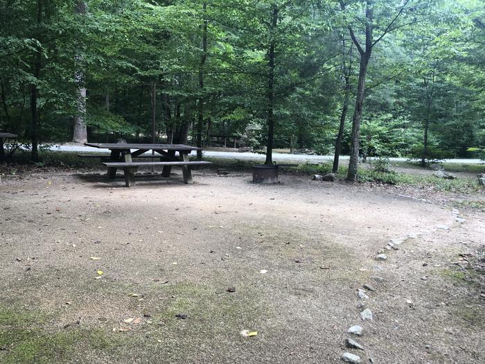 A photo of Site 005 of Loop CAVE MOUNTAIN LAKE FAMILY CAMP at CAVE MOUNTAIN LAKE FAMILY CAMP with Picnic Table, Fire Pit, Shade, Tent Pad, Lantern Pole