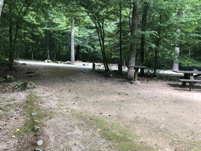 A photo of Site 005 of Loop CAVE MOUNTAIN LAKE FAMILY CAMP at CAVE MOUNTAIN LAKE FAMILY CAMP with Picnic Table, Fire Pit, Shade, Tent Pad, Lantern Pole