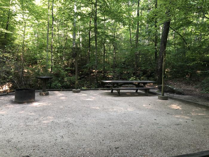 A photo of Site 035 of Loop B at CAVE MOUNTAIN LAKE FAMILY CAMP with Picnic Table, Fire Pit, Shade, Tent Pad, Lantern Pole