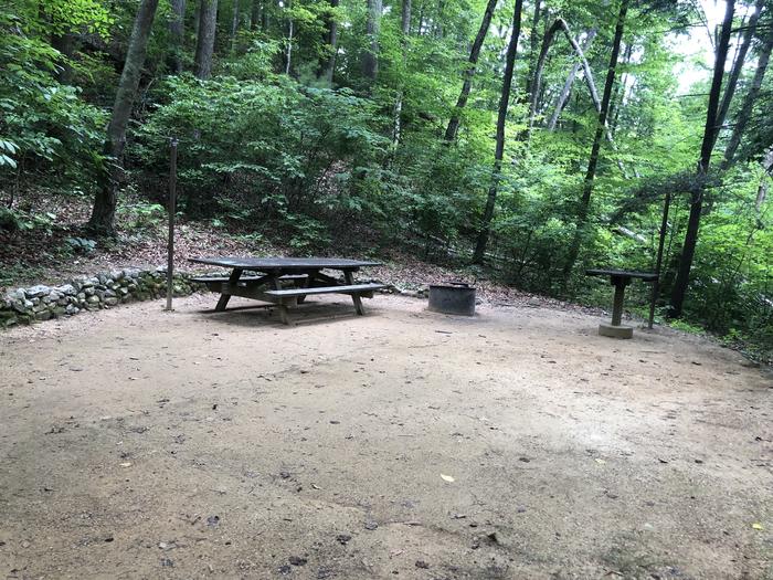 A photo of Site 036 of Loop B at CAVE MOUNTAIN LAKE FAMILY CAMP with Picnic Table, Fire Pit, Shade, Tent Pad, Lantern Pole