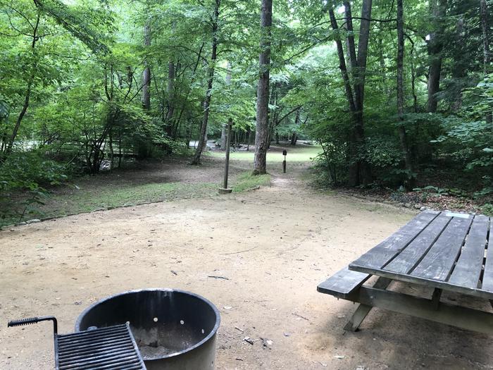 A photo of Site 036 of Loop B at CAVE MOUNTAIN LAKE FAMILY CAMP with Picnic Table, Fire Pit, Shade, Tent Pad