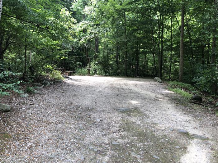 A photo of Site 023 of Loop CAVE MOUNTAIN LAKE FAMILY CAMP at CAVE MOUNTAIN LAKE FAMILY CAMP with Shade, Tent Pad