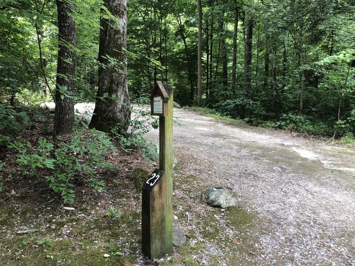 A photo of Site 023 of Loop CAVE MOUNTAIN LAKE FAMILY CAMP at CAVE MOUNTAIN LAKE FAMILY CAMP with No Amenities Shown