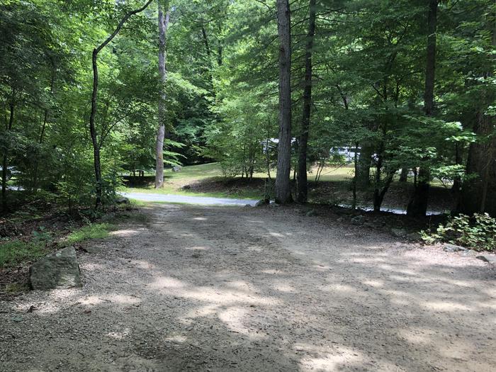 A photo of Site 023 of Loop CAVE MOUNTAIN LAKE FAMILY CAMP at CAVE MOUNTAIN LAKE FAMILY CAMP with Shade, Tent Pad