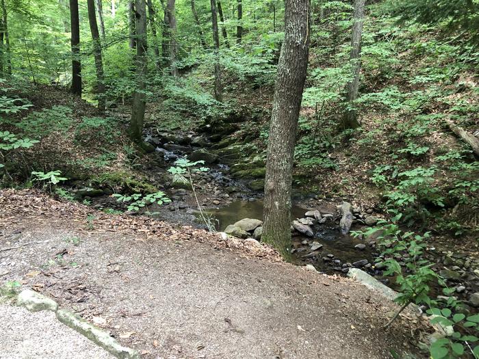 A photo of Site 030 of Loop B at CAVE MOUNTAIN LAKE FAMILY CAMP with No Amenities Shown