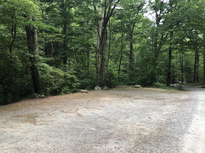 A photo of Site 038 of Loop B at CAVE MOUNTAIN LAKE FAMILY CAMP with No Amenities ShownA photo of parking for Site 038 of Loop B at CAVE MOUNTAIN LAKE FAMILY CAMP with No Amenities Shown