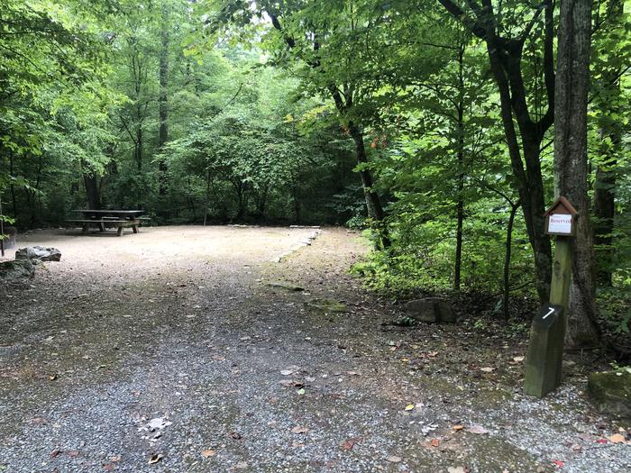 A photo of Site 007 of Loop CAVE MOUNTAIN LAKE FAMILY CAMP at CAVE MOUNTAIN LAKE FAMILY CAMP with Picnic Table, Fire Pit, Shade, Tent Pad, Lantern Pole