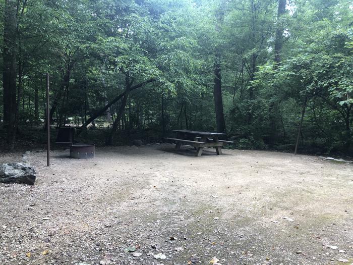 A photo of Site 007 of Loop CAVE MOUNTAIN LAKE FAMILY CAMP at CAVE MOUNTAIN LAKE FAMILY CAMP with Picnic Table, Fire Pit, Shade, Tent Pad, Lantern Pole