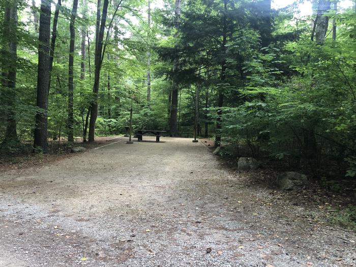 A photo of Site 015 of Loop CAVE MOUNTAIN LAKE FAMILY CAMP at CAVE MOUNTAIN LAKE FAMILY CAMP with Picnic Table, Fire Pit, Shade, Tent Pad, Lantern Pole