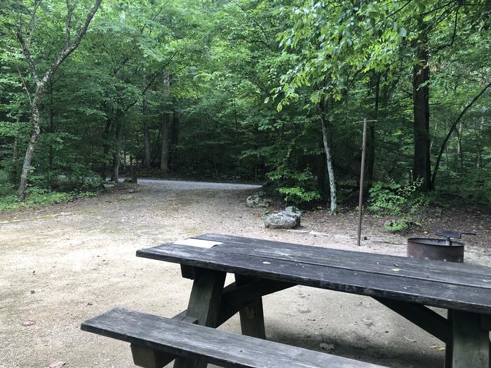 A photo of Site 007 of Loop CAVE MOUNTAIN LAKE FAMILY CAMP at CAVE MOUNTAIN LAKE FAMILY CAMP with Picnic Table, Fire Pit, Shade, Tent Pad, Lantern Pole