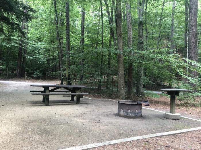 A photo of Site 015 of Loop CAVE MOUNTAIN LAKE FAMILY CAMP at CAVE MOUNTAIN LAKE FAMILY CAMP with Picnic Table, Fire Pit, Shade, Tent Pad, Lantern Pole