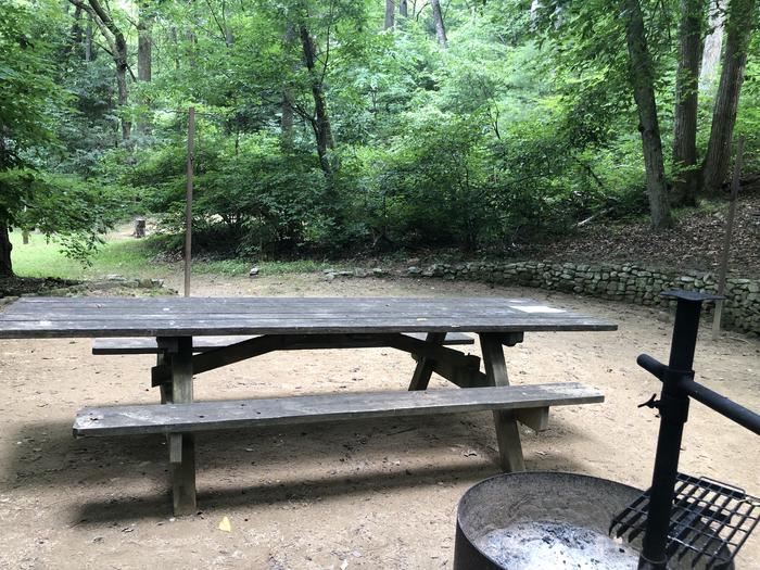 A photo of Site 037 of Loop B at CAVE MOUNTAIN LAKE FAMILY CAMP with Picnic Table, Fire Pit, Shade, Tent Pad, Lantern Pole