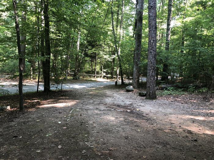 A photo of Site 013 of Loop CAVE MOUNTAIN LAKE FAMILY CAMP at CAVE MOUNTAIN LAKE FAMILY CAMP with No Amenities Shown