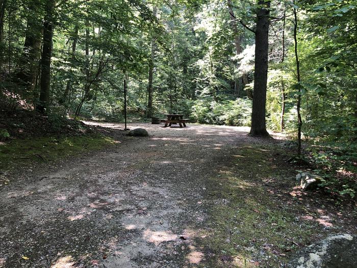 A photo of Site 006 of Loop CAVE MOUNTAIN LAKE FAMILY CAMP at CAVE MOUNTAIN LAKE FAMILY CAMP with Picnic Table, Fire Pit, Shade, Tent Pad, Lantern Pole