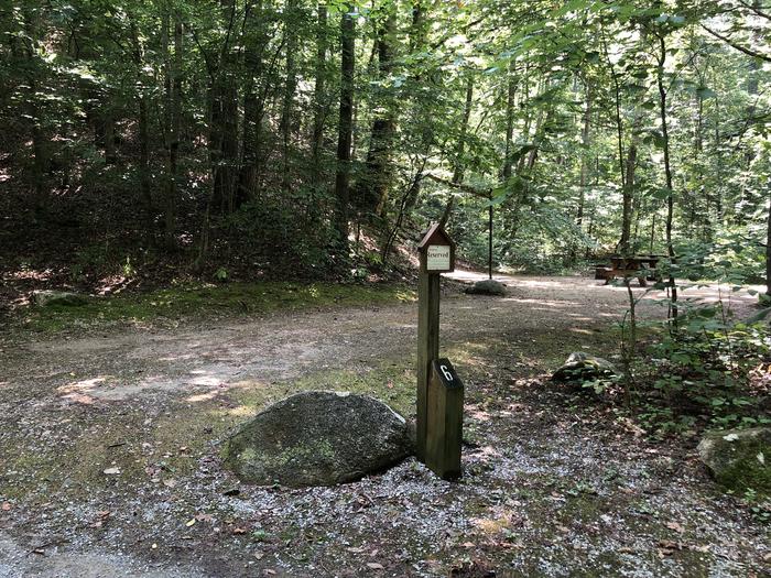 A photo of Site 006 of Loop CAVE MOUNTAIN LAKE FAMILY CAMP at CAVE MOUNTAIN LAKE FAMILY CAMP with No Amenities Shown