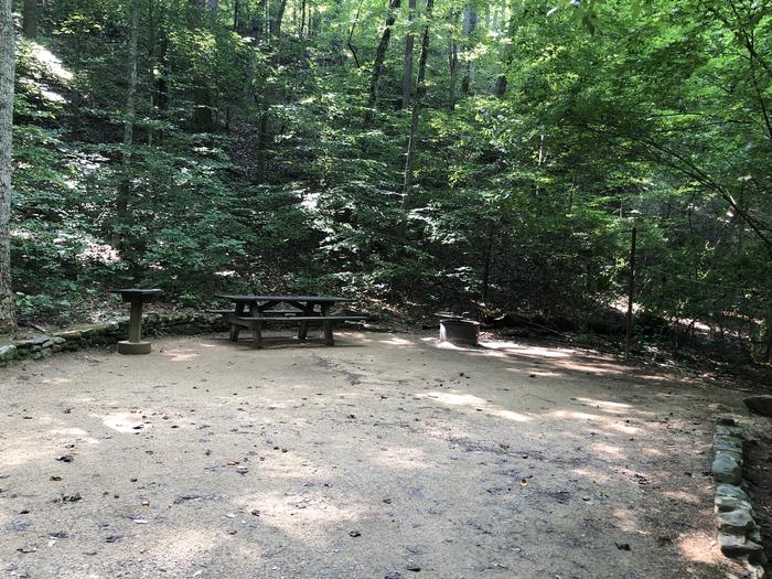 A photo of Site 016 of Loop CAVE MOUNTAIN LAKE FAMILY CAMP at CAVE MOUNTAIN LAKE FAMILY CAMP with Picnic Table, Fire Pit, Shade, Tent Pad, Lantern Pole