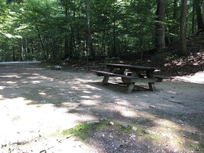 A photo of Site 006 of Loop CAVE MOUNTAIN LAKE FAMILY CAMP at CAVE MOUNTAIN LAKE FAMILY CAMP with Picnic Table, Fire Pit, Shade, Tent Pad, Lantern Pole