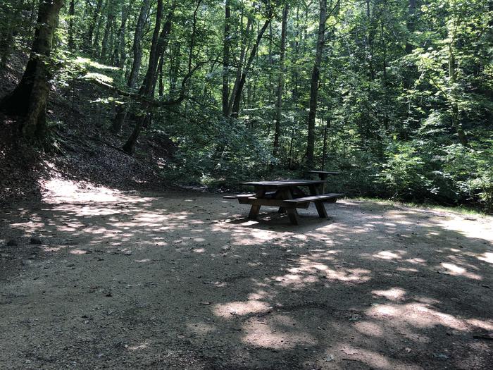 A photo of Site 006 of Loop CAVE MOUNTAIN LAKE FAMILY CAMP at CAVE MOUNTAIN LAKE FAMILY CAMP with Picnic Table, Shade, Tent Pad