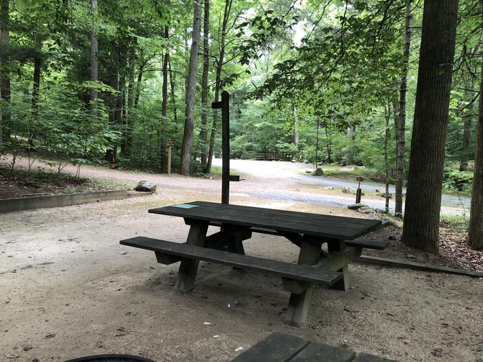 A photo of Site 031 of Loop B at CAVE MOUNTAIN LAKE FAMILY CAMP with Picnic Table, Shade, Tent Pad, Lantern Pole