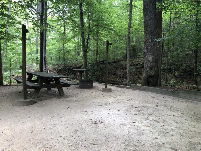 A photo of Site 031 of Loop B at CAVE MOUNTAIN LAKE FAMILY CAMP with Picnic Table, Fire Pit, Shade, Tent Pad, Lantern Pole