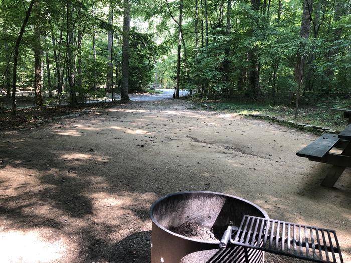 A photo of Site 016 of Loop CAVE MOUNTAIN LAKE FAMILY CAMP at CAVE MOUNTAIN LAKE FAMILY CAMP with Picnic Table, Fire Pit, Shade, Tent Pad