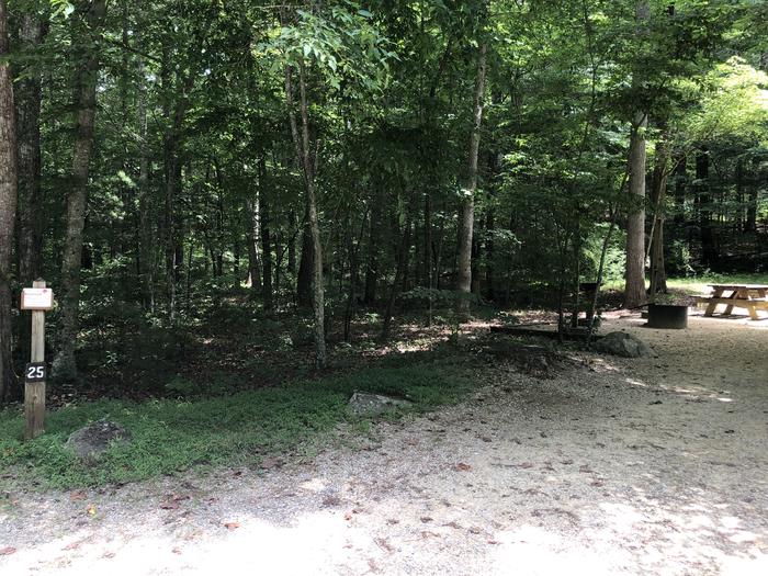 A photo of Site 025 of Loop CAVE MOUNTAIN LAKE FAMILY CAMP at CAVE MOUNTAIN LAKE FAMILY CAMP with Picnic Table, Fire Pit