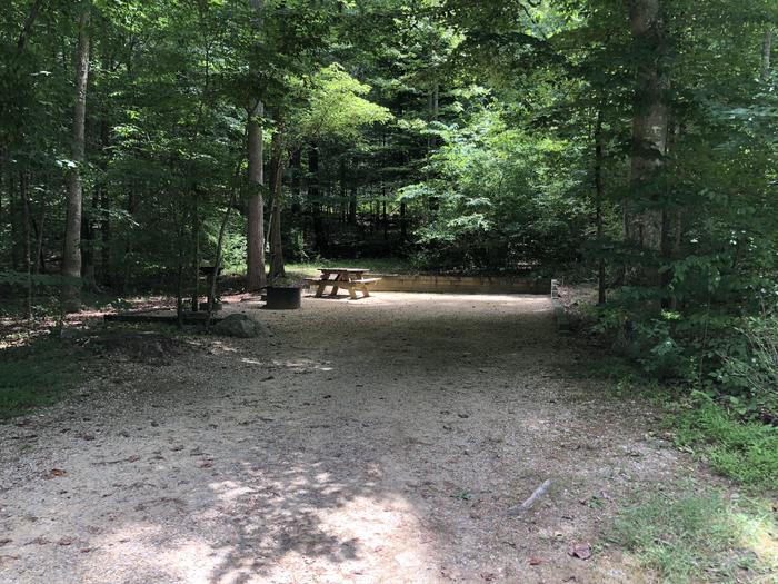 A photo of Site 025 of Loop CAVE MOUNTAIN LAKE FAMILY CAMP at CAVE MOUNTAIN LAKE FAMILY CAMP with Picnic Table, Fire Pit, Shade, Tent Pad, Lantern Pole