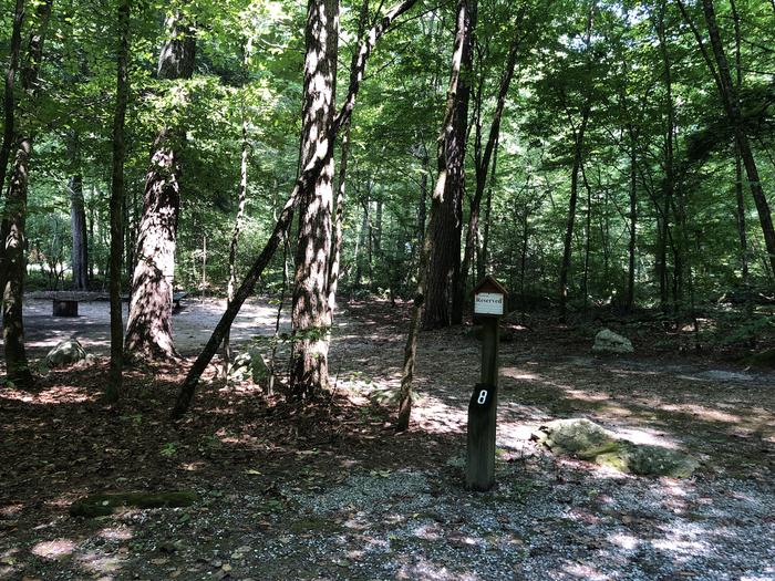 A photo of Site 008 of Loop CAVE MOUNTAIN LAKE FAMILY CAMP at CAVE MOUNTAIN LAKE FAMILY CAMP with No Amenities Shown