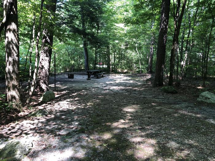 A photo of Site 008 of Loop CAVE MOUNTAIN LAKE FAMILY CAMP at CAVE MOUNTAIN LAKE FAMILY CAMP with Picnic Table, Fire Pit, Shade, Tent Pad, Lantern Pole