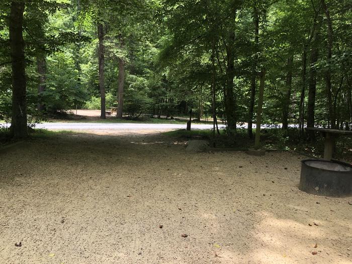 A photo of Site 025 of Loop CAVE MOUNTAIN LAKE FAMILY CAMP at CAVE MOUNTAIN LAKE FAMILY CAMP with Fire Pit, Shade, Tent Pad