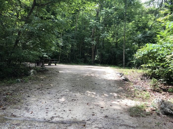 A photo of Site 024 of Loop CAVE MOUNTAIN LAKE FAMILY CAMP at CAVE MOUNTAIN LAKE FAMILY CAMP with Picnic Table, Shade, Tent Pad