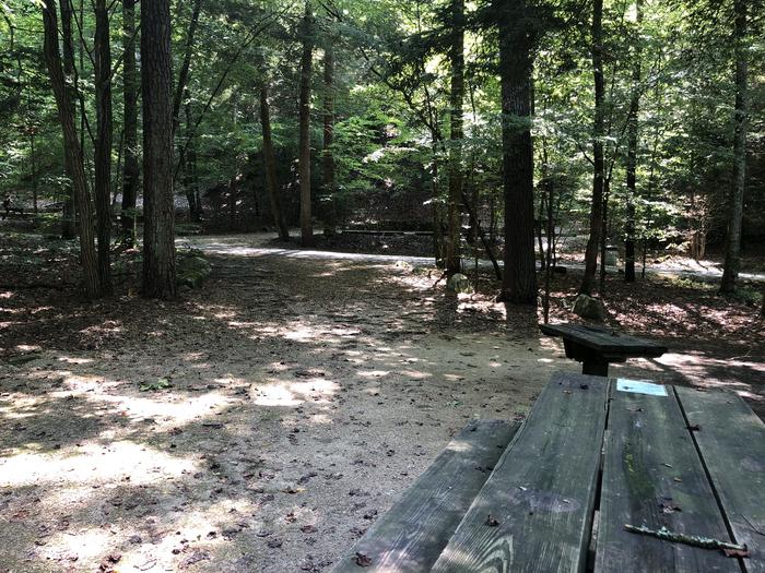 A photo of Site 008 of Loop CAVE MOUNTAIN LAKE FAMILY CAMP at CAVE MOUNTAIN LAKE FAMILY CAMP with Picnic Table, Shade, Tent Pad