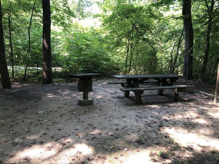 A photo of Site 008 of Loop CAVE MOUNTAIN LAKE FAMILY CAMP at CAVE MOUNTAIN LAKE FAMILY CAMP with Picnic Table, Fire Pit