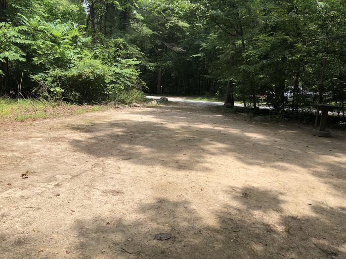 A photo of Site 024 of Loop CAVE MOUNTAIN LAKE FAMILY CAMP at CAVE MOUNTAIN LAKE FAMILY CAMP with Shade, Tent Pad