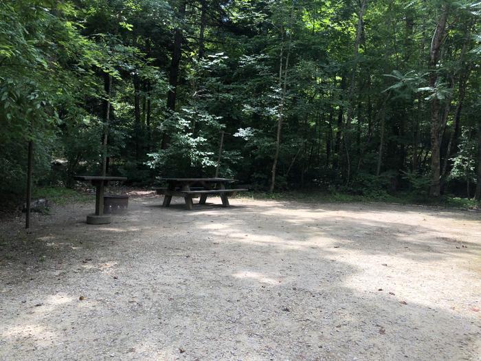 A photo of Site 024 of Loop CAVE MOUNTAIN LAKE FAMILY CAMP at CAVE MOUNTAIN LAKE FAMILY CAMP with Picnic Table, Fire Pit, Shade, Tent Pad, Lantern Pole