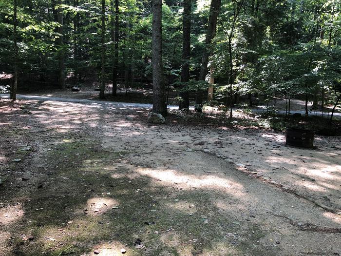 A photo of Site 012 of Loop CAVE MOUNTAIN LAKE FAMILY CAMP at CAVE MOUNTAIN LAKE FAMILY CAMP with Fire Pit, Shade, Tent Pad