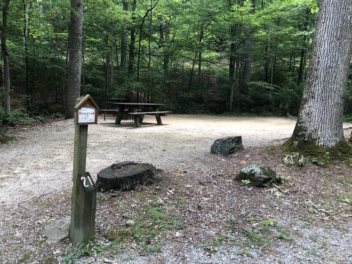 A photo of Site 021 of Loop CAVE MOUNTAIN LAKE FAMILY CAMP at CAVE MOUNTAIN LAKE FAMILY CAMP with Picnic Table, Fire Pit, Shade, Tent Pad, Lantern Pole