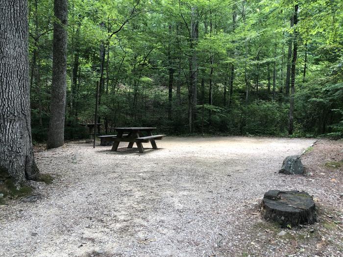 A photo of Site 021 of Loop CAVE MOUNTAIN LAKE FAMILY CAMP at CAVE MOUNTAIN LAKE FAMILY CAMP with Picnic Table, Fire Pit, Shade, Tent Pad, Lantern Pole