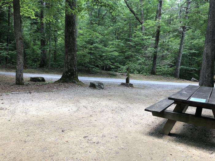 A photo of Site 021 of Loop CAVE MOUNTAIN LAKE FAMILY CAMP at CAVE MOUNTAIN LAKE FAMILY CAMP with Picnic Table, Tent Pad