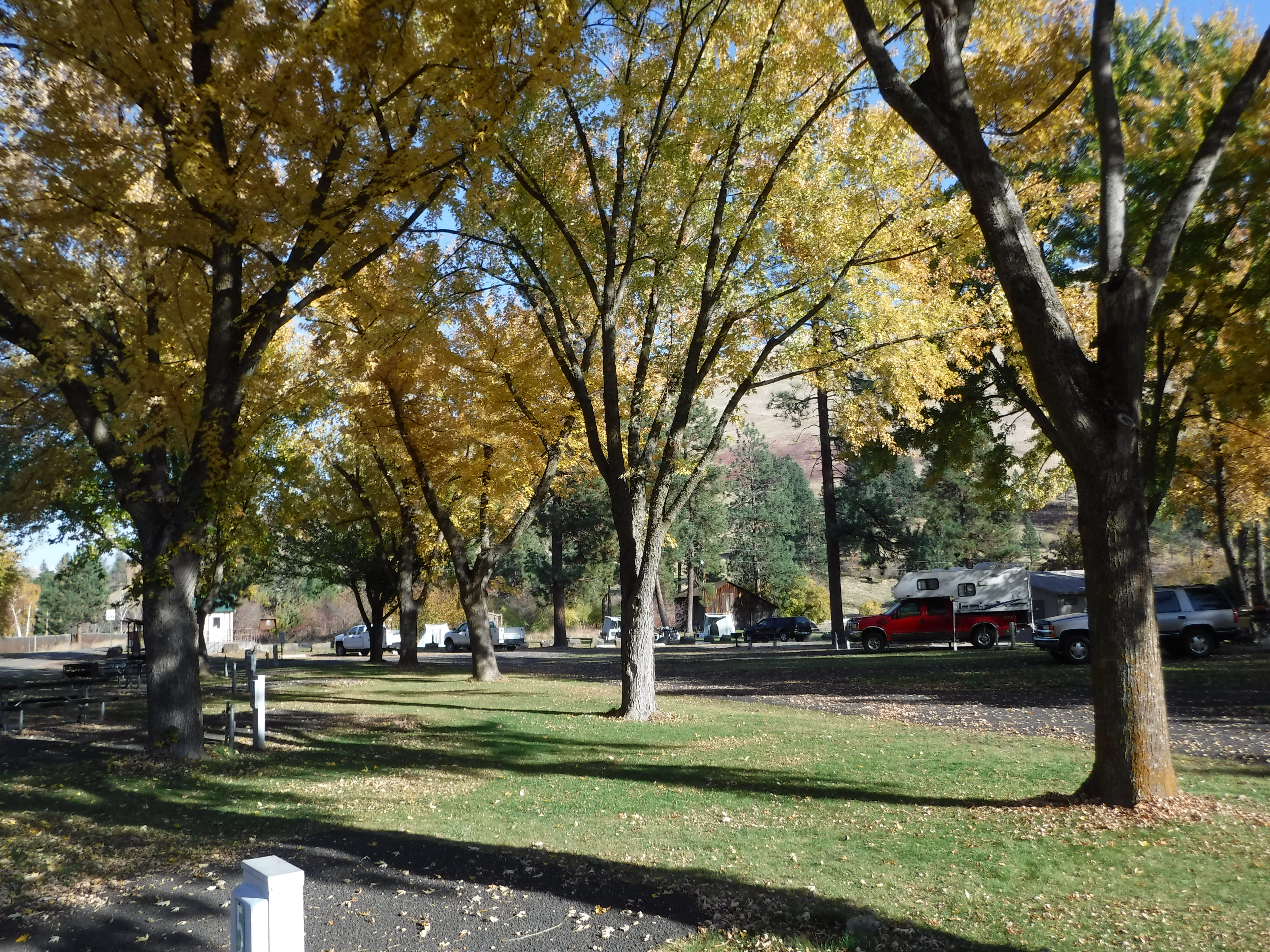 McKay's Bend Recreation Site Fall