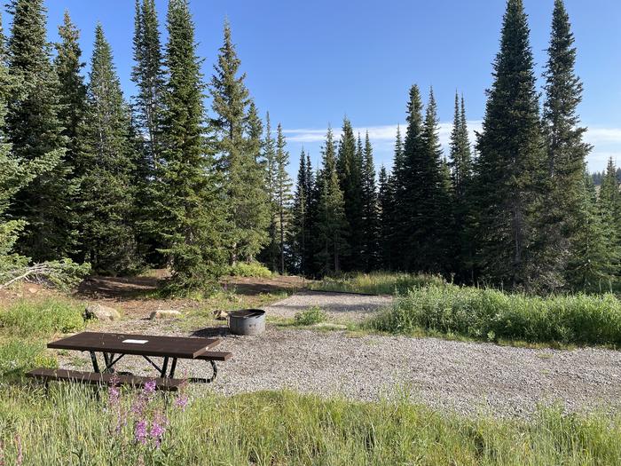 A photo of Site 8 at Deep Lake Campground with Picnic Table, Fire Pit, Tent Pad.