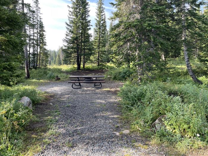 A photo of Site 11 at Deep Lake Campground with Picnic Table, Fire Pit.