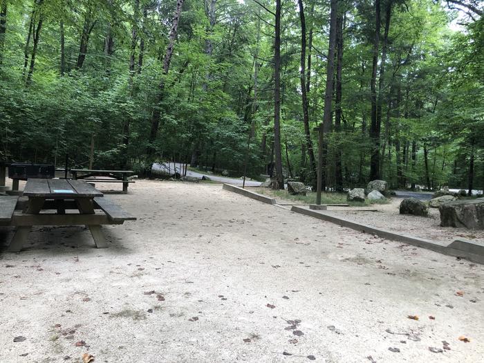 A photo of Site 041-042 of Loop CAVE MOUNTAIN LAKE FAMILY CAMP at CAVE MOUNTAIN LAKE FAMILY CAMP with Picnic Table, Shade, Tent Pad