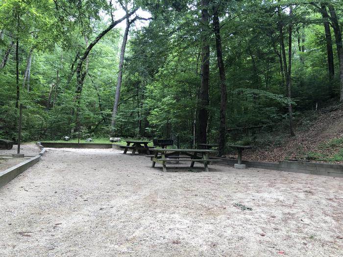 A photo of Site 041-042 of Loop CAVE MOUNTAIN LAKE FAMILY CAMP at CAVE MOUNTAIN LAKE FAMILY CAMP with Picnic Table, Fire Pit, Shade, Tent Pad, Lantern Pole