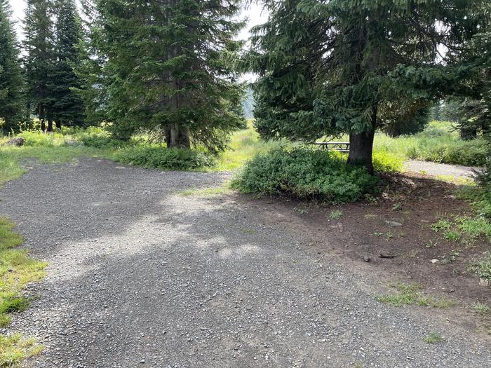 A photo of Site 26 at Deep Lake Campground with Picnic Table, Shade, Tent Pad.