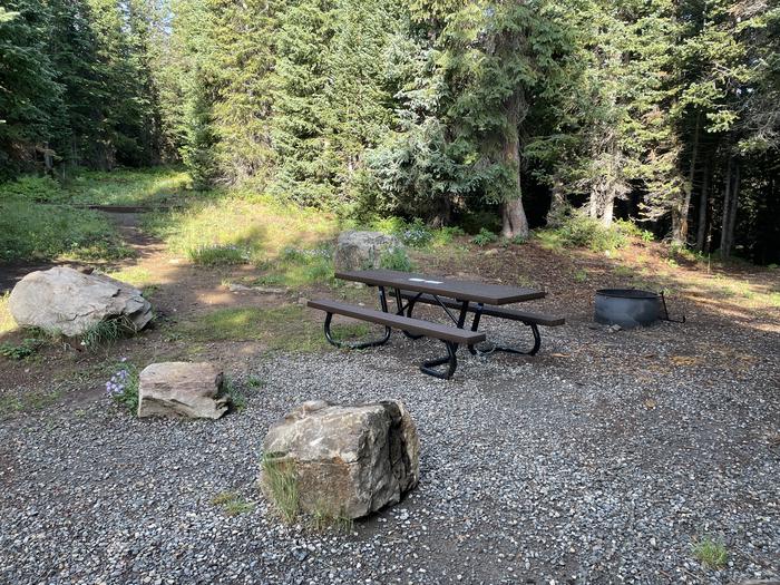 A photo of Site 5 at Deep Lake Campground with Picnic Table, Fire Pit, Shade, Tent Pad.