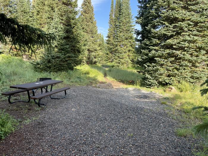 A photo of Site 9 at Deep Lake Campground with Picnic Table, Fire Pit.