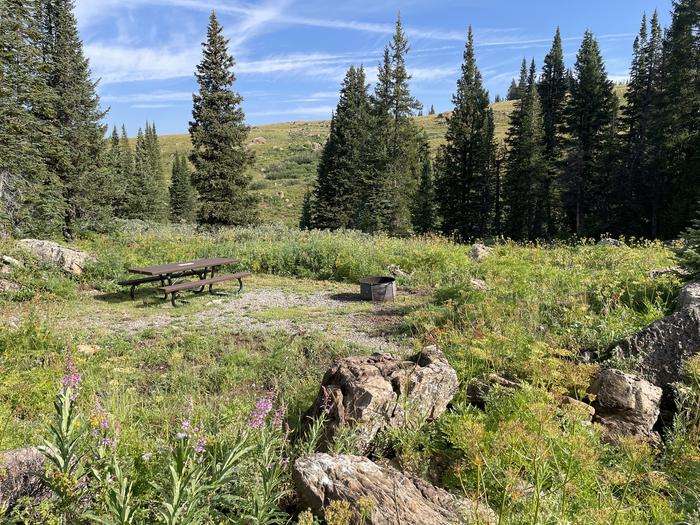 A photo of Site 18 at Deep Lake Campground with Picnic Table, Fire Pit.