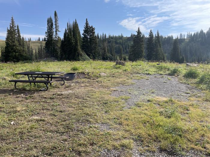 A photo of Site 20 at Deep Lake Campground with Picnic Table, Fire Pit.