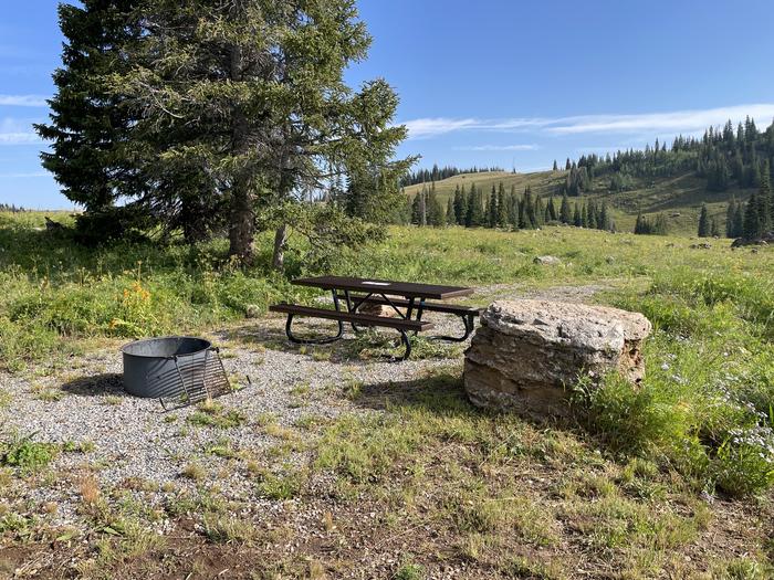 A photo of Site 12 at Deep Lake Campground with Picnic Table, Fire Pit.